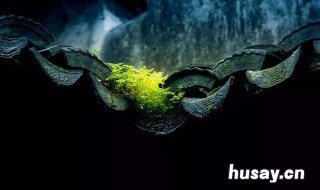 旧味清欢蝉鸣的作用