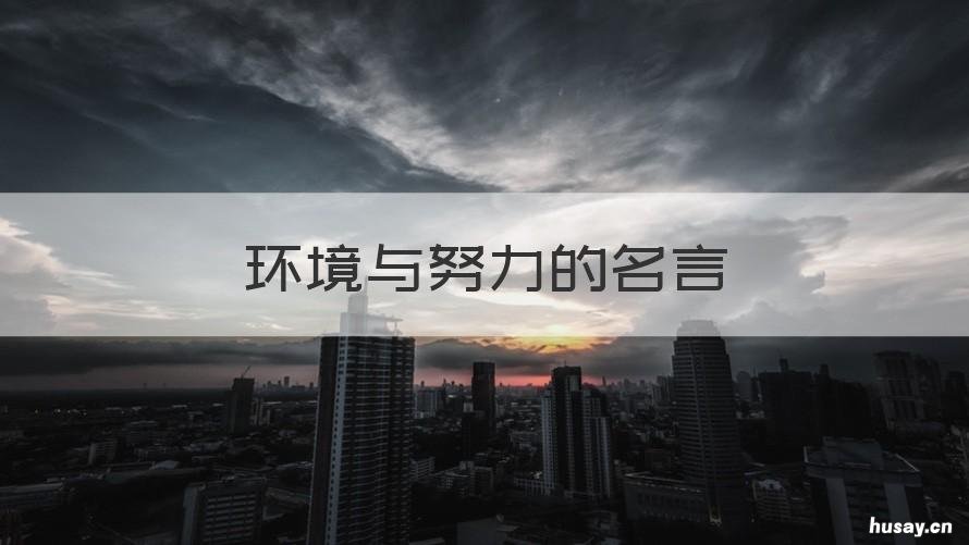 环境与努力的名言 无论处于什么环境都要不断努力是谁的名言