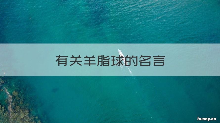 有关羊脂球的名言 羊脂球有哲理的句子