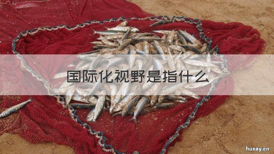 国际化视野是指什么 什么叫国际视野
