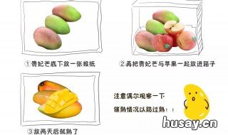 怎样催熟芒果 怎样催熟芒果最快