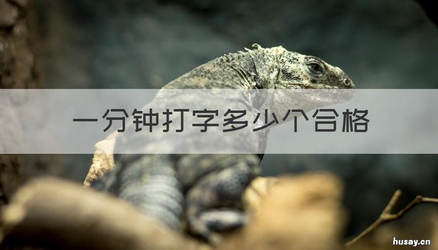 一分钟打字多少个合格 一个小时打字多少才算合格