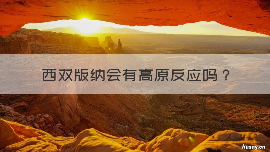 西双版纳会有高原反应吗 西双版纳海拔会不会高原反应