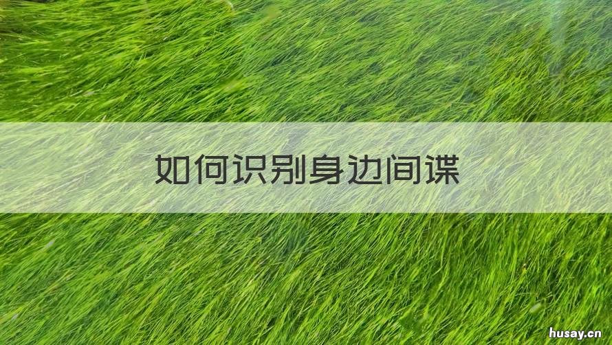 如何识别身边间谍 怎么识别身边的间谍