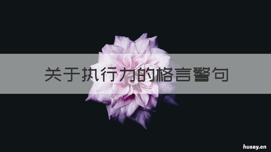 关于执行力的格言警句 关于执行力的格言警句摘抄