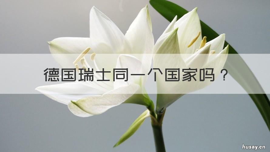 德国瑞士同一个国家吗