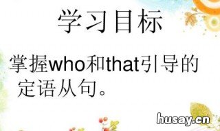 that引导的定语从句作用