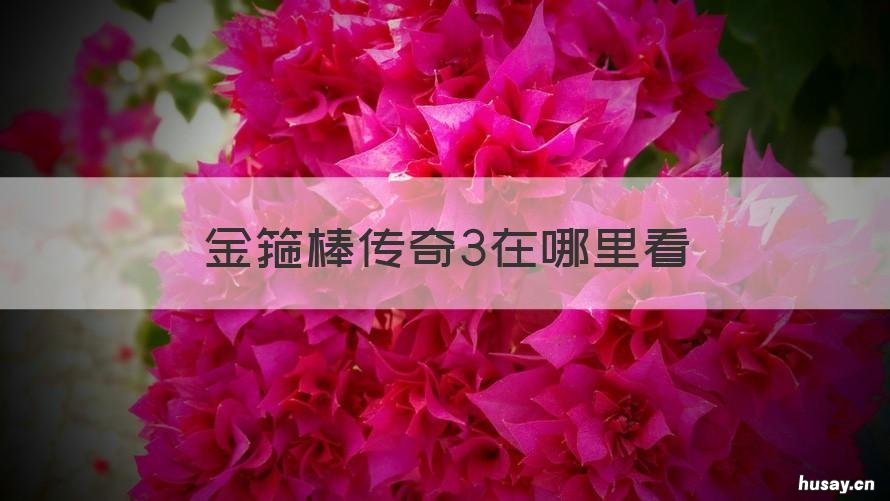 金箍棒传奇3在哪里看 金箍棒传奇3什么时候上映