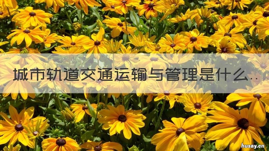 城市轨道交通运输与管理是什么