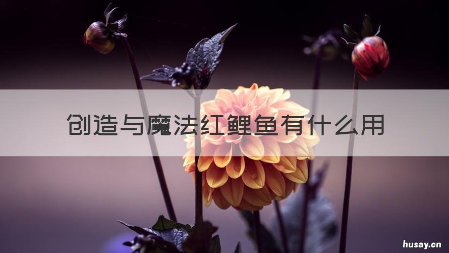 创造与魔法红鲤鱼有什么用 创造与魔法红鲤鱼能干什么?