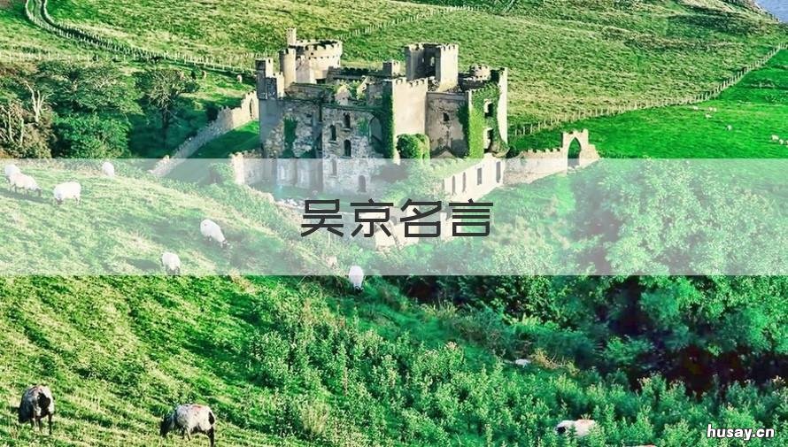 吴京名言 吴京名言我帮你