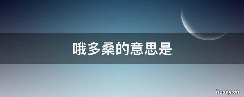 哦多桑的意思是 多桑是什么意思