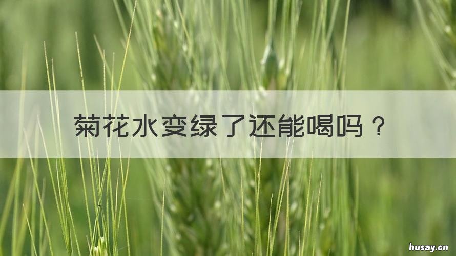 菊花水变绿了还能喝吗 菊花水变绿了还能喝吗女生