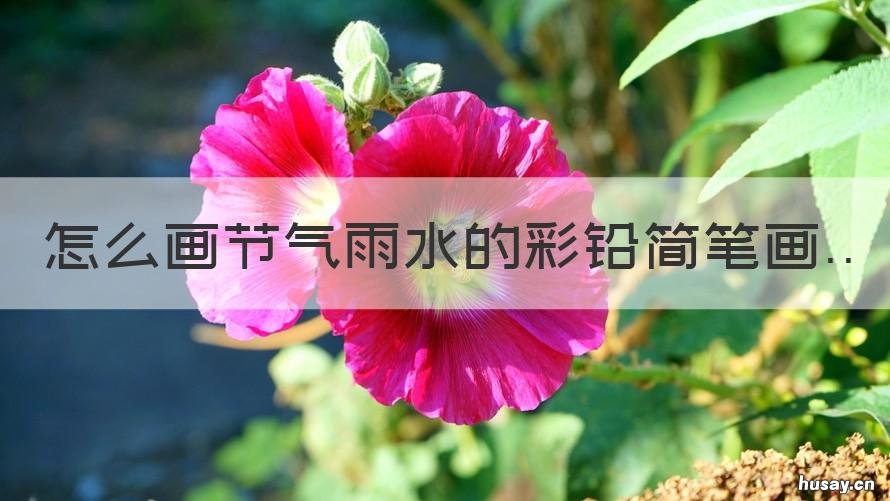 怎么画节气雨水的彩铅简笔画 雨水简笔画彩色