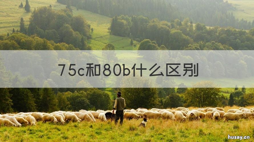 75c和80b什么区别 80c和75b的区别