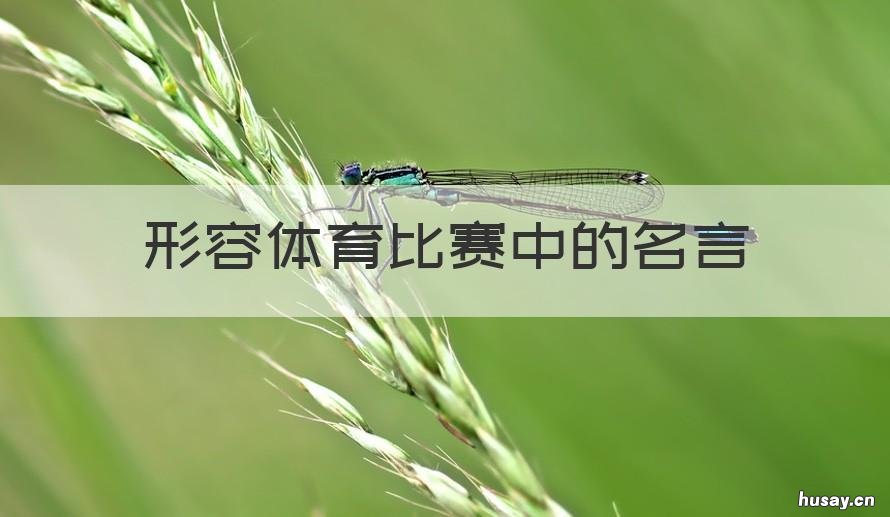 形容体育比赛中的名言 关于体育的名言名句有哪些