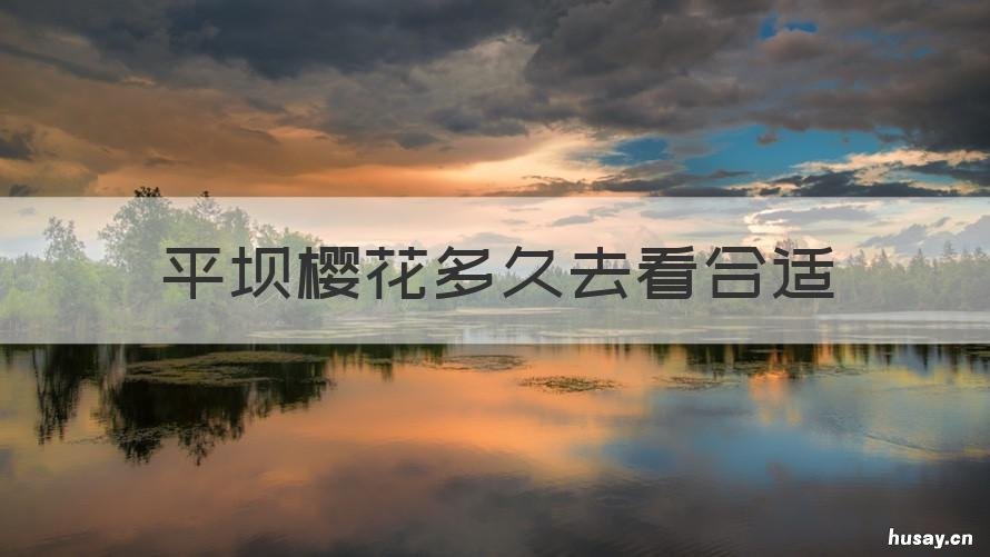 平坝樱花多久去看合适 平坝看樱花的最佳时间