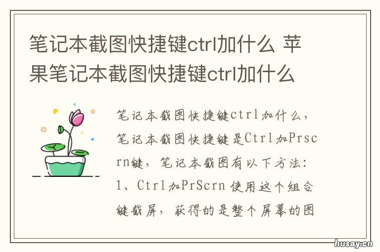 笔记本截图快捷键ctrl加什么 dell笔记本截图快捷键ctrl加什么