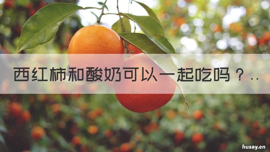 西红柿和酸奶可以一起吃吗 西红柿跟酸奶能一起吃吗