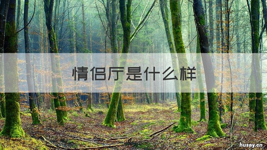 情侣厅是什么样 情侣厅好吗