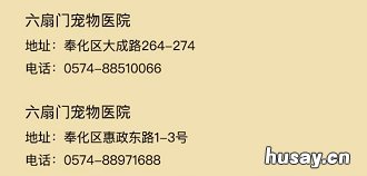 2020年宁波犬证办理指南 宁波2020年办狗证多少钱