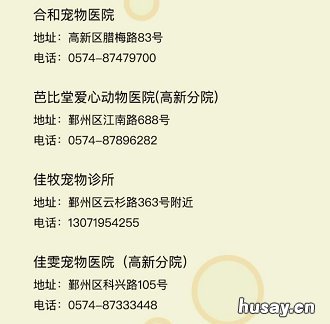 2020年宁波犬证办理指南 宁波2020年办狗证多少钱