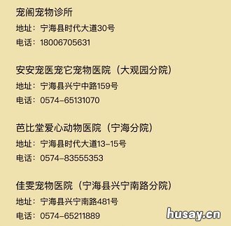 2020年宁波犬证办理指南 宁波2020年办狗证多少钱