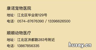 2020年宁波犬证办理指南 宁波2020年办狗证多少钱