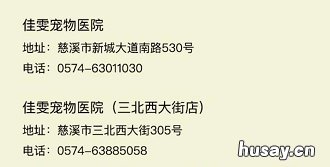 2020年宁波犬证办理指南 宁波2020年办狗证多少钱