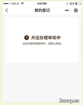 2020年宁波犬证办理指南 宁波2020年办狗证多少钱