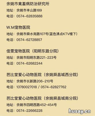 2020年宁波犬证办理指南 宁波2020年办狗证多少钱
