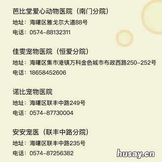 2020年宁波犬证办理指南 宁波2020年办狗证多少钱