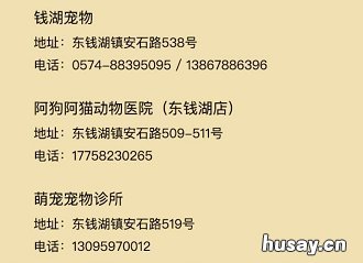 2020年宁波犬证办理指南 宁波2020年办狗证多少钱