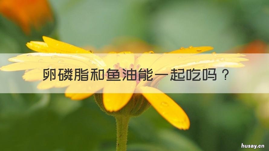 卵磷脂和鱼油能一起吃吗 卵磷脂必须和鱼油一起吃吗