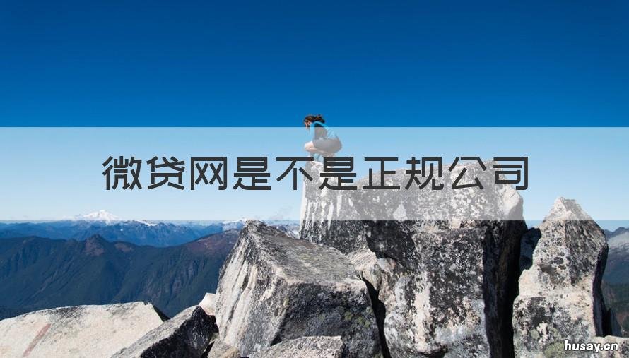 微贷网是不是正规公司 微贷网属于正规平台吗