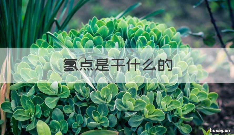 氢点是干什么的 氢从哪里来