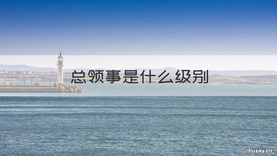 总领事是什么级别 总领事馆总领事是什么级别