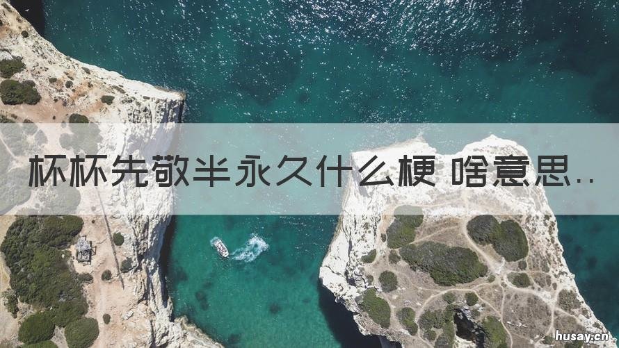 杯杯先敬半永久什么梗 啥意思