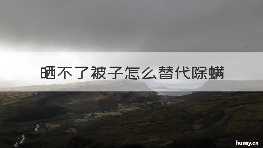 晒不了被子怎么替代除螨 被子晒不了还有什么办法杀螨