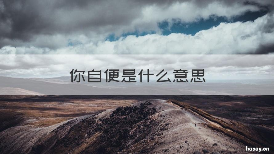 你自便是什么意思 请你自便是什么意思