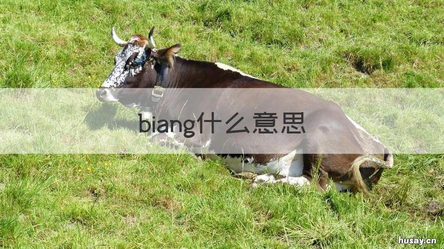 biang什么意思 比昂什么意思