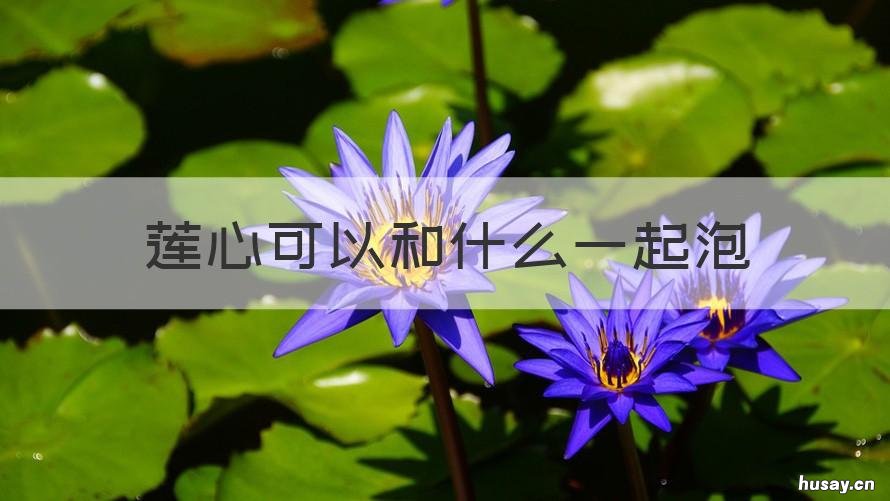 莲心可以和什么一起泡 莲心要泡吗