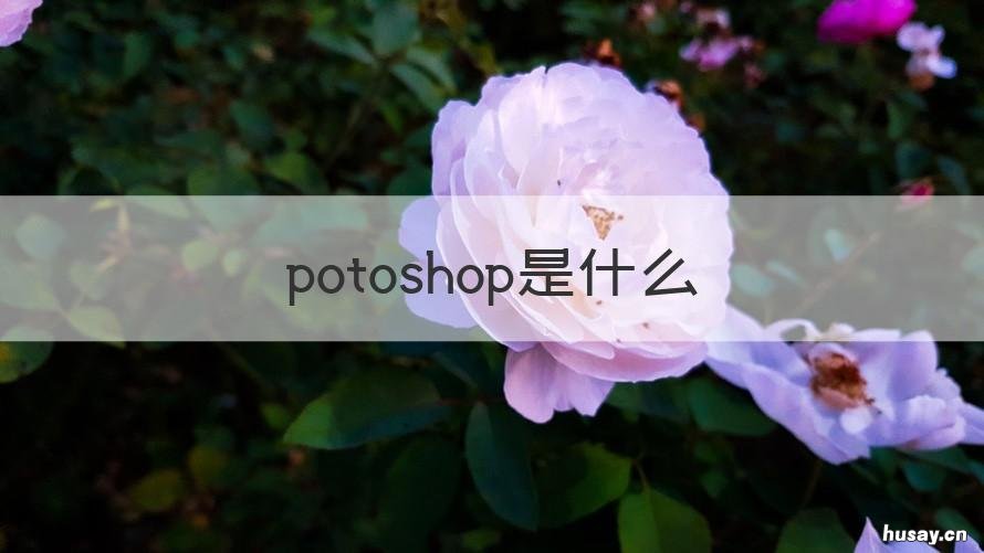 potoshop是什么