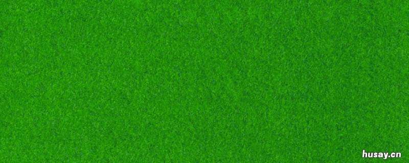 绿色加什么颜色变黄色 绿色加什么颜色变黄颜色