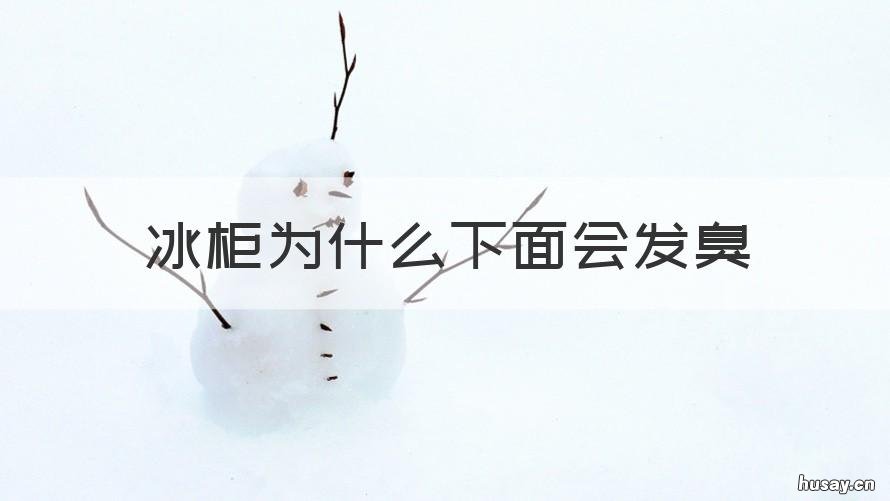 冰柜为什么下面会发臭 冰柜里面发臭是什么原因