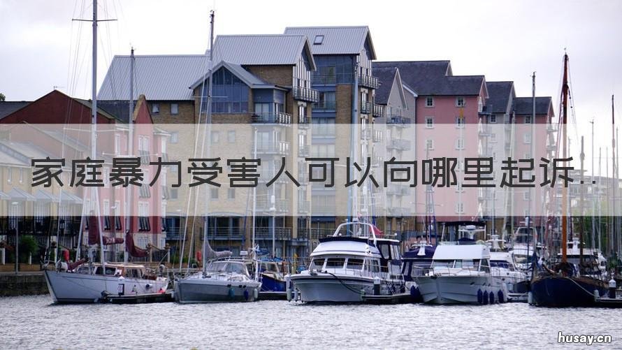 家庭暴力受害人可以向哪里起诉 实施家庭暴力,受害人有权提出请求