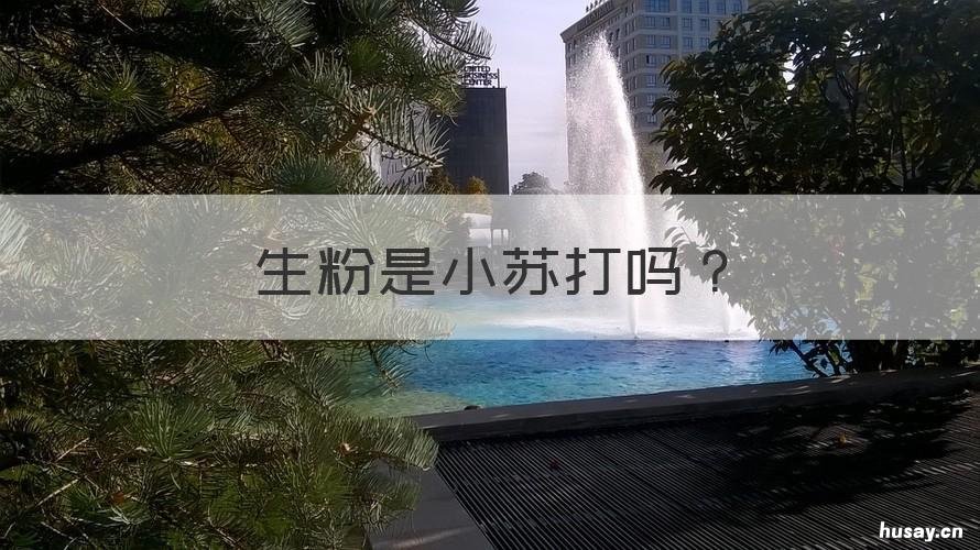 生粉是小苏打吗 生粉是小苏打嘛