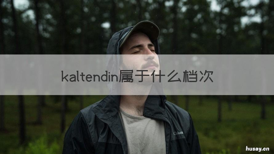 kaltendin属于什么档次 KALTENDIN官网