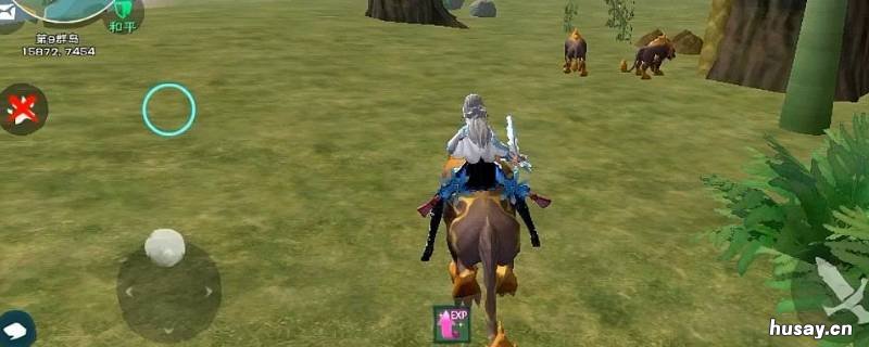 创造与魔法云斑鹦鸟位置在哪 创造与魔法的云斑鹦鸟位置在哪