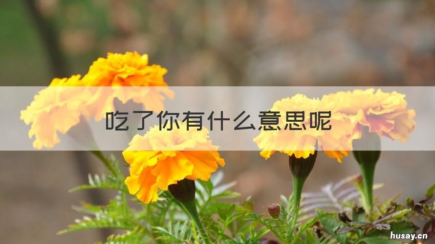 吃了你有什么意思呢 吃你是什么意思呢